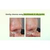 Orien - Mugwort Zero Film Cleansing Foam