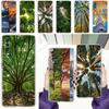 Phone Case For Samsung A56 A36 A26 A24 A16 A14 A12 A32 A50 A70 A22 A40 A34 A54 A42 A52 5G A06 Cover Beautiful Nature Forest Tree