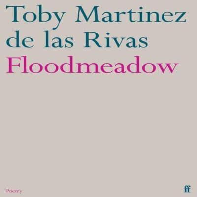 Floodmeadow by Toby Martinez De Las Rivas Paperback Book 9780571376438
