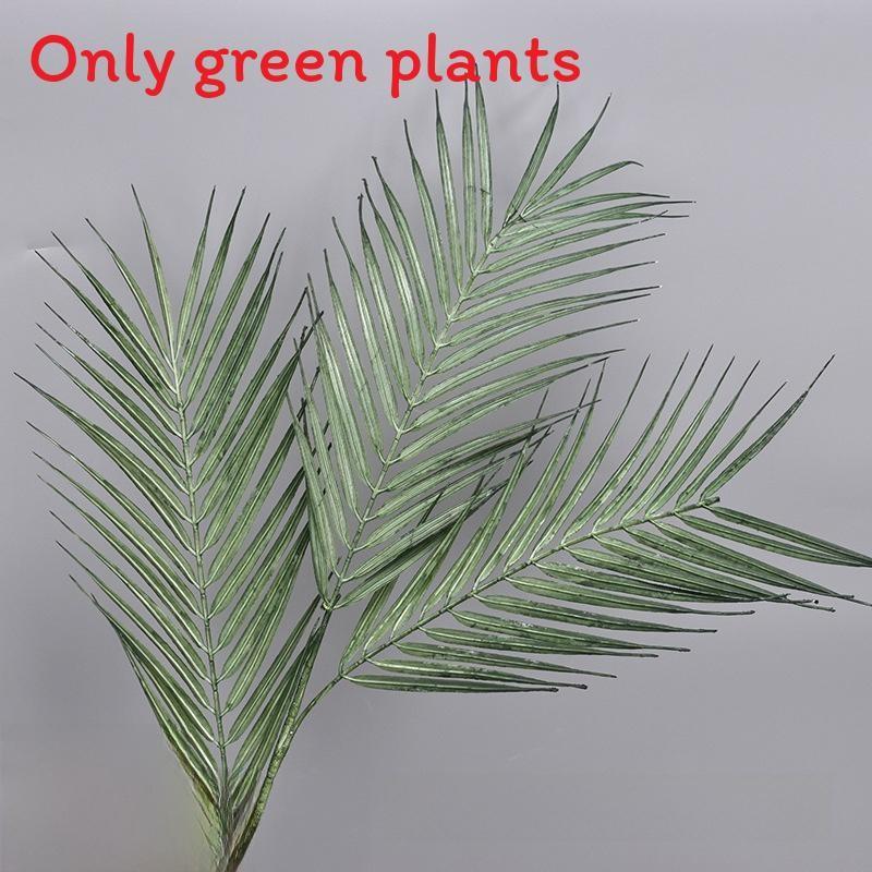 

Liebm Deliciosa Monstera And Eucalyptus Citriodora Hook Green Decor Plants StyleR