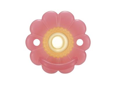 Richell Absorb Lab with Convex for Newborns Months and All-Silicone Pacifier, Flower, Ribs, (0 Up)