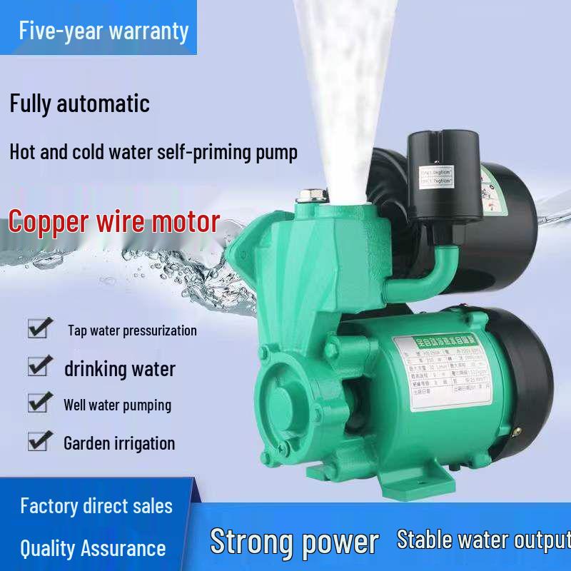 220V Household Automatic Booster Pump for Well and Tap Water Systems