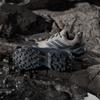 JQ6725 Adidas Terrex Skychaser AX5 GORE-TEX Hiking Shoes (Women's)