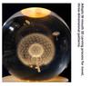 Y 3D Inner Engraving Crystal Ball with LED Base Santa Claus Deer Solar System Glass Ball Home Desktop Ornament Christmas Gift