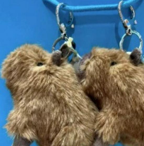 Kolekce plyšových klíčenek ve stylu Jellycat: Roztomilá panenka, hračka, dárek