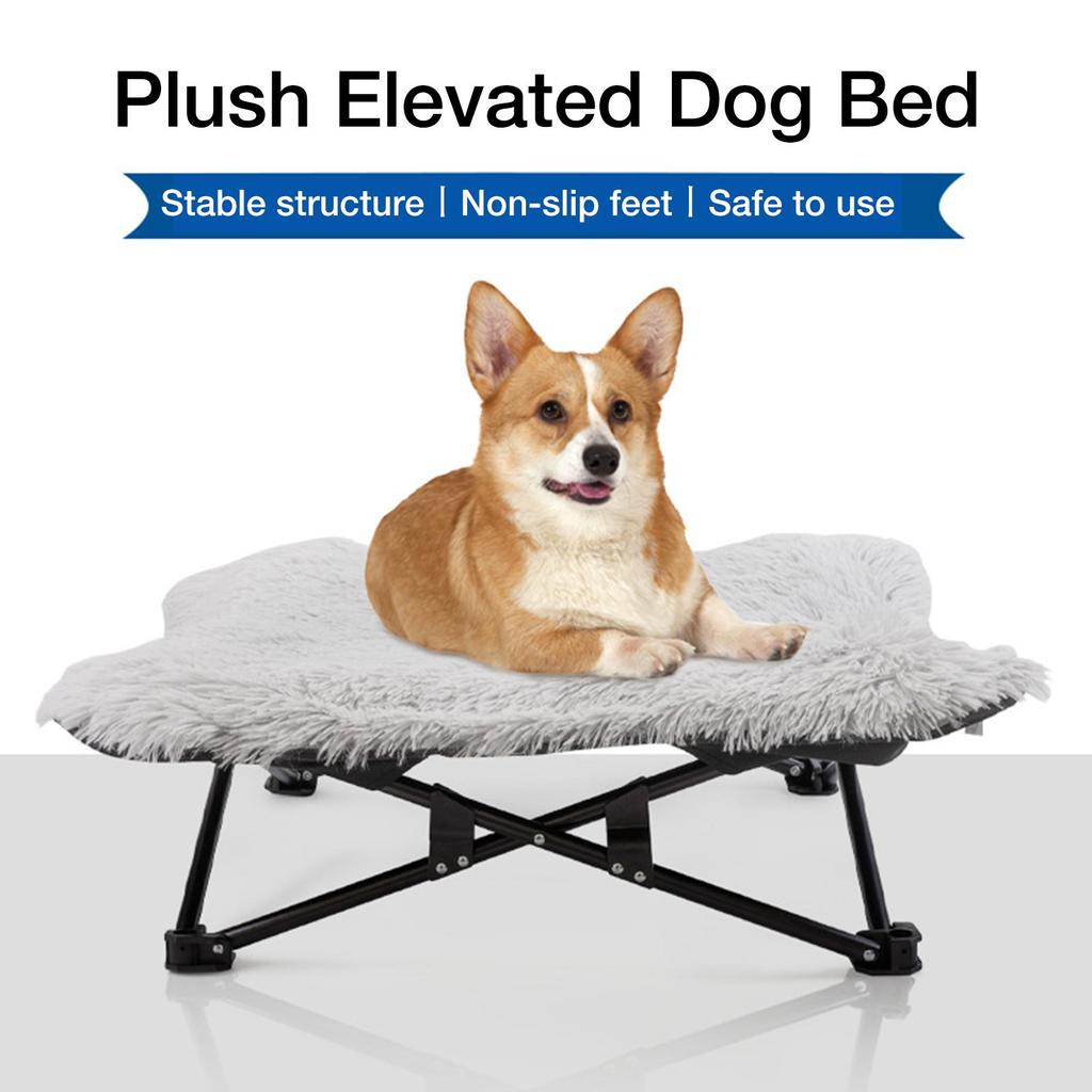 collapsible raised dog bed