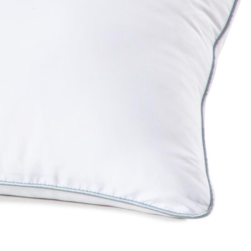 Mercury Home Textiles Negative Ion Pillow Pair