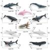 Children's Marine Life Humpback Whale Model Toy Simulation