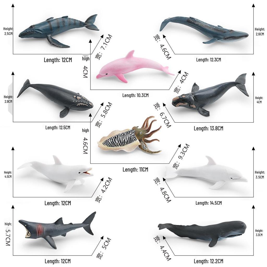 Children's Marine Life Humpback Whale Model Toy Simulation