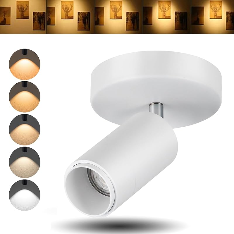 5CCT LED Ceiling Spotlight 12W Dimmable Spotlight Ceiling Light Directional