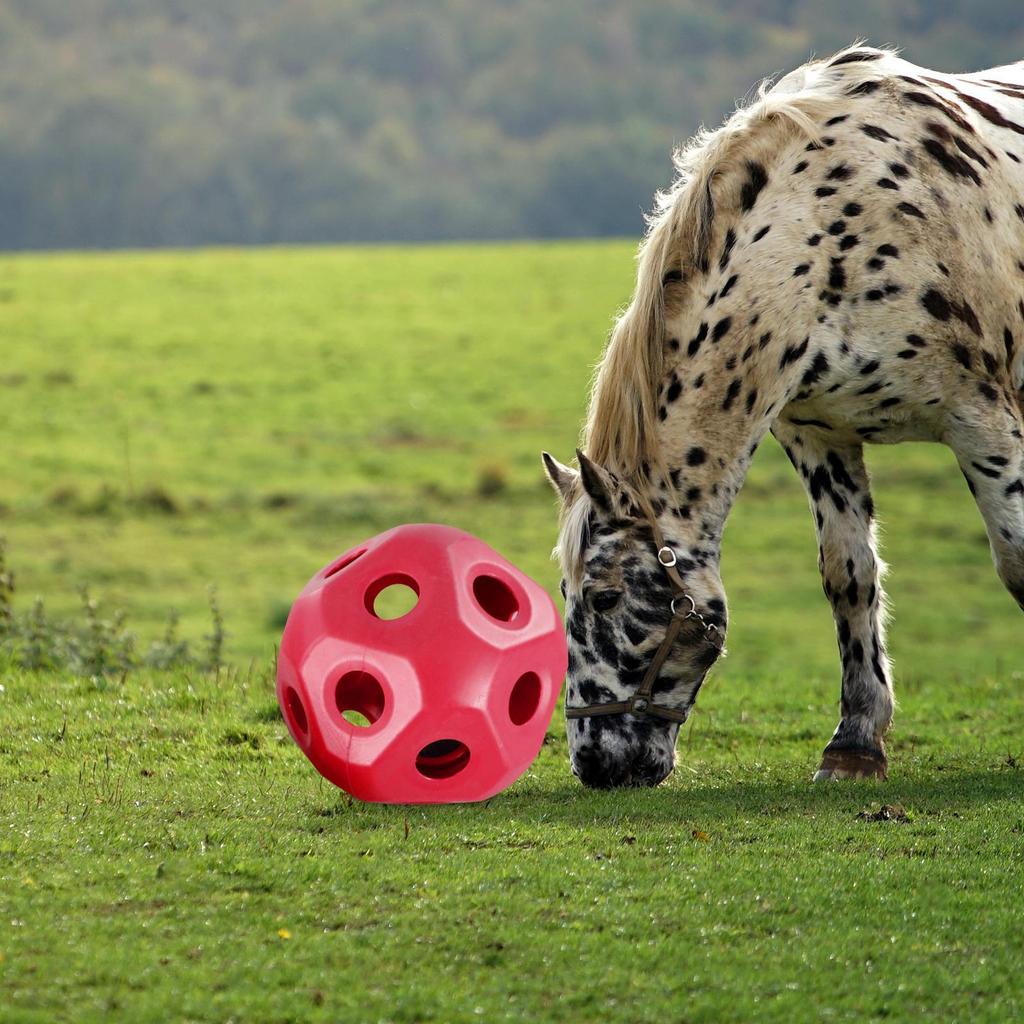 15, Lustiger Pferde-Leckerball, Langsamfütterer Ball Spielzeug
