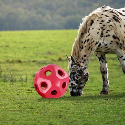 15, Lustiger Pferde-Leckerball, Langsamfütterer Ball Spielzeug