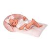 Elegance Doll 42 Cm - Arias - Vinyl - Pink and White Outfit - Matching Headband - Matching Cushion - Pacifier Included
