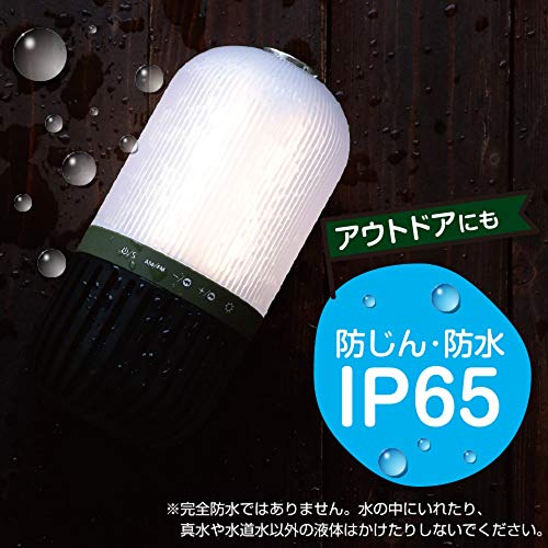 ZEPEAL Rechargeable Light Series 2200mAh USB Charging Waterproof Radio Lantern, Green, DJL-H265