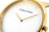 Calvin Klein Sculpt Women's Watch 25200246 + BOX
