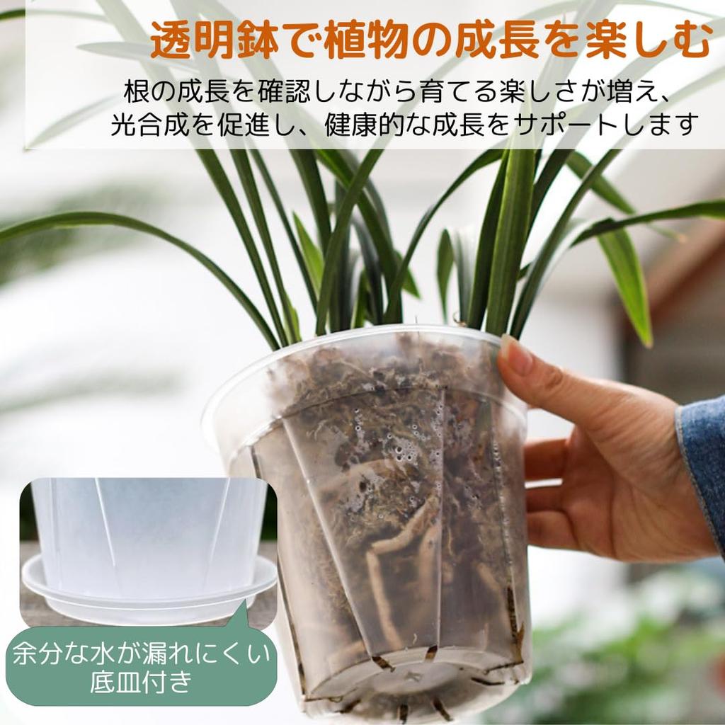 So Happy Flower Transparent Plastic Slit Stylish Orchid Pots with Set of 4 I'm Pots, Pots, Saucers, (Size 6)