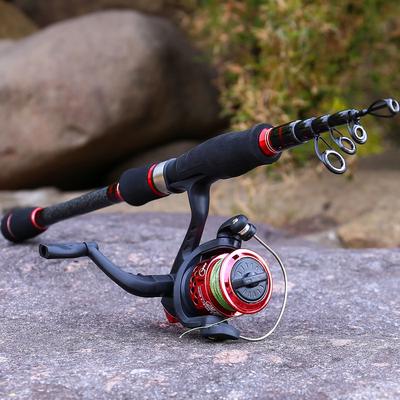 Canna da pesca Mulinello da pesca telescopico e spinning Set di attrezzatura da pesca da viaggio d'acqua dolce d'acqua salata