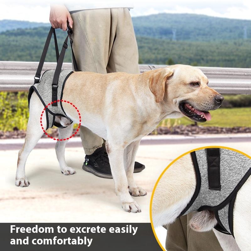 Adjustable Rear Leg Support Dog Harness for Injured Senior Dogs Pet Rehabilitation Sling Assistive Mobility Aid
