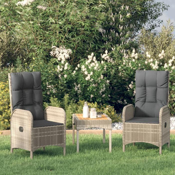 VidaXL Outdoor Chairs 2 Pcs Woven Resin Grey 46219