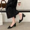 Bow Single Shoes Women's Autumn and Winter 2025 New Satin Thick Heel Late Evening Wind Pedal Low Heel Pointed High Heels