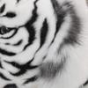 HANSA White Tiger 145cm Acrylic No.5920