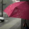 Home Useful Fashion High Quality 10 Ribs 3 Folds Automatic Folding Umbrella Compact Travel Parasol Windproof Uv Resistance