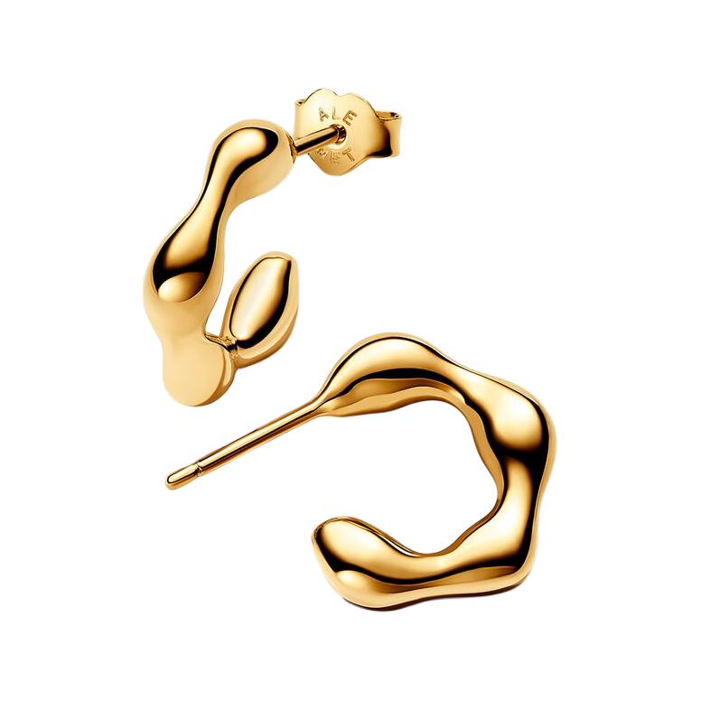 Pandora Circular Design Gold Plated Copper Silver Alloy Earrings Women earrings 263269C00 Shopping Bag