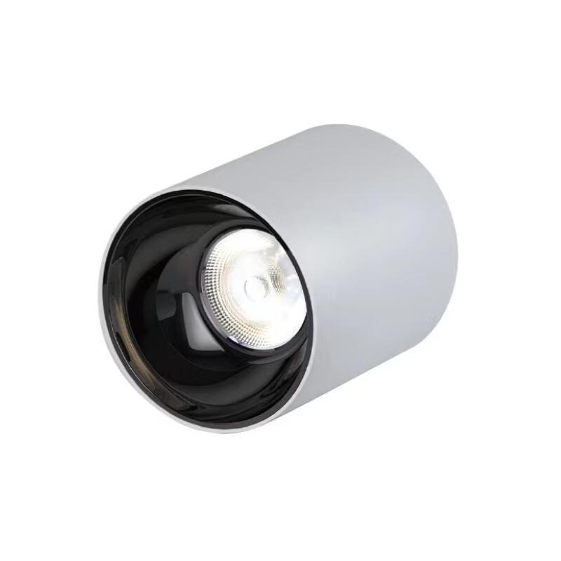 oeny 50W 6000K Black Surface Mount Waterproof LED Spotlight