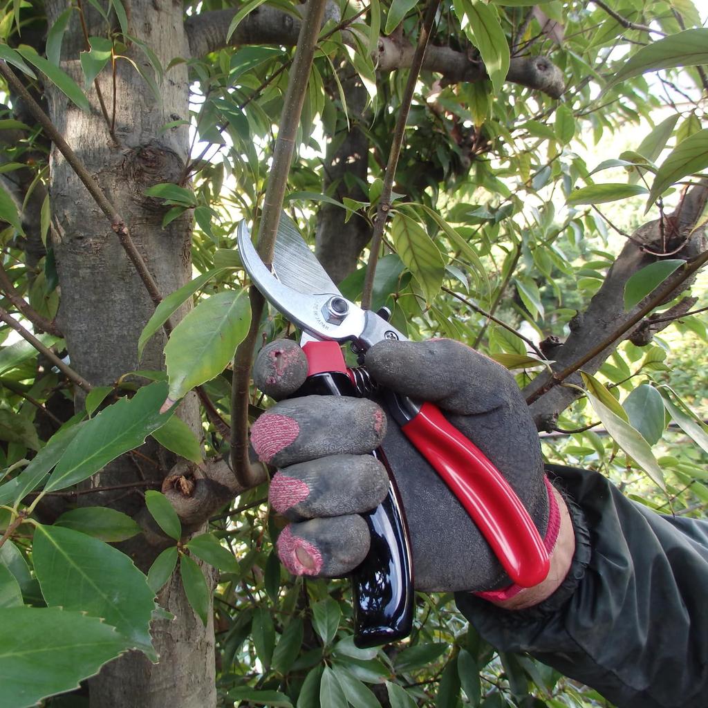 ARS Corporation ARS Pruning Shears Rotary VS-8R