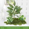 Luxury Faux Green Plant and Flower Decor - Indoor Moss and Grass Clusters for Elegant Landscaping.