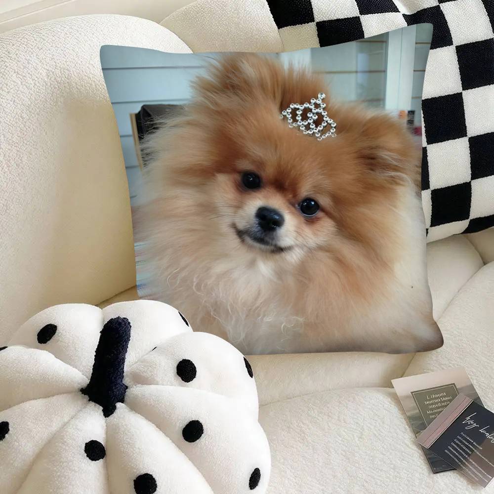 Poszewka na poduszkę dla psa rasy szpic miniaturowy Modna kwadratowa poszewka na poduszkę Sypialnia Sofa Pokój Dekoracja Ins Wypoczynek