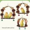 Bird Parrot Perch Naturally Bird Swing Multiple Functional Wood Perch for Bird