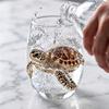 Set da 8 Bicchieri in Vetro con Disegni di Animali 3D - Scatola Regalo da 12 Colori per Feste e Uso Quotidiano