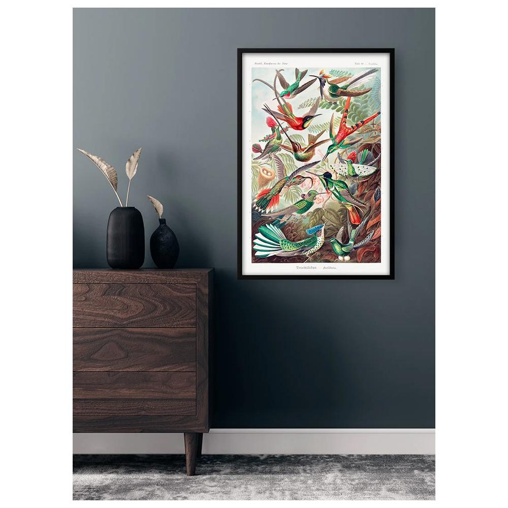 Ernst Haeckel Trochilidae Print