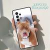 Pitbull Dog Phone Case For Samsung Galaxy A42 A31 A40 A51 A71 A32 A80 A91 A52 A72 A73 A20e A21S A50 A70 A11 A12 Cover
