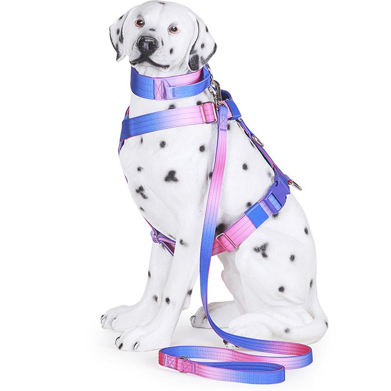 Tactical Dog Harness Dog Leash Collar -No-Pull Outdoor Training Anti-Escape Pet Harness Pet Harness Vest for Medium& Large Dogs