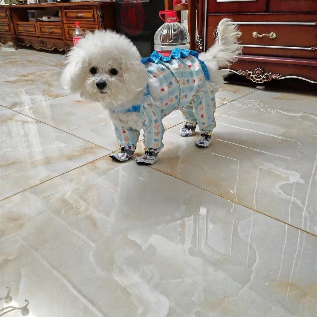Dog out dust-proof puppy small four-legged anti-dirty walking dog pant leg artifact outdoor belly protection, anti-urine and anti-dirty clothes