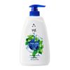 Liùshén Cooling & Refreshing Body Wash