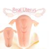 Men's Masturbator Uterus Shaped Super Real Skin Feel Vagina Uterine Sex Adult Toy