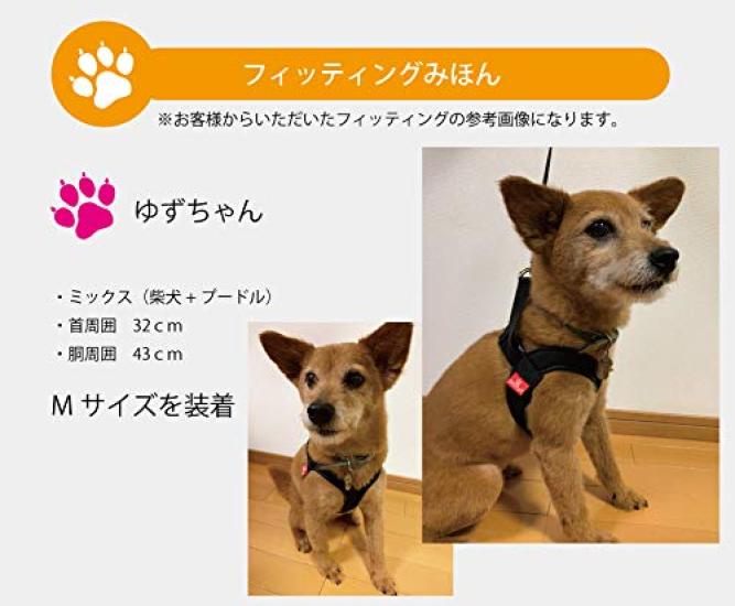 Anifull Anisapo Harest Black L Size