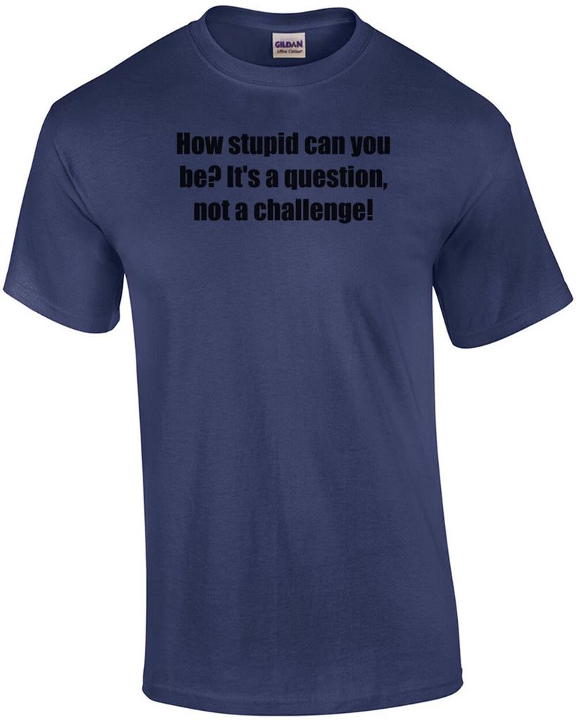 How Stupid Can You Be? It's a Question, Not a Challenge! Shirt
