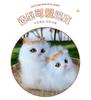 Mother Cat and Kitten with Basket Figurine - Toy Gift for Kids or Girlfriend