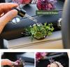 Handmade Car Vent Dried Flower & Fruit Diffuser - Creative Interior Decoration & Festival Gift