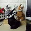Premium Quality Cute Plush Toys Rabbit Dog And Squirrel Simulation Animal Gifts