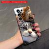 2DFlat Samsung Phone Case Lion and Cat Close-Up Wildlife Portrait Applicable To Galaxy S22 S23 S24 S25ULTRA S26 A12 A13 A14 A15 A16 A34 A35 A54 A55