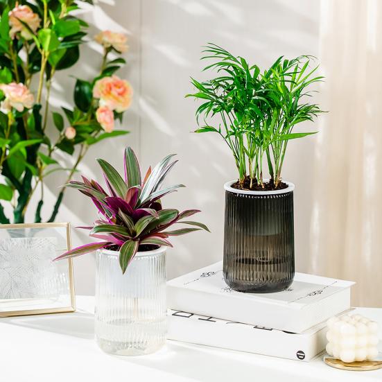 Self Watering Plant Pot Clear with Wick Ropes Plastic Flower Pot Water Reservoir Vertical Stripes Design