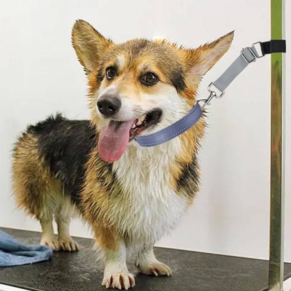 Quick Release Grooming Arm Extension Strap Trimming Pet Extender Accessories Dog Grooming Leash Pets Loops Adjustable