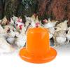 Chicken Feeder Waterer Easy To Disassemble and Clean Highly Practical for Coop