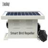Repelent pentru păsări Churong Dual-Battery Four-in-One
