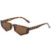 New personalized retro polygonal small frame sunglasses men's and women's trend street shot glasses concave sunglasses S